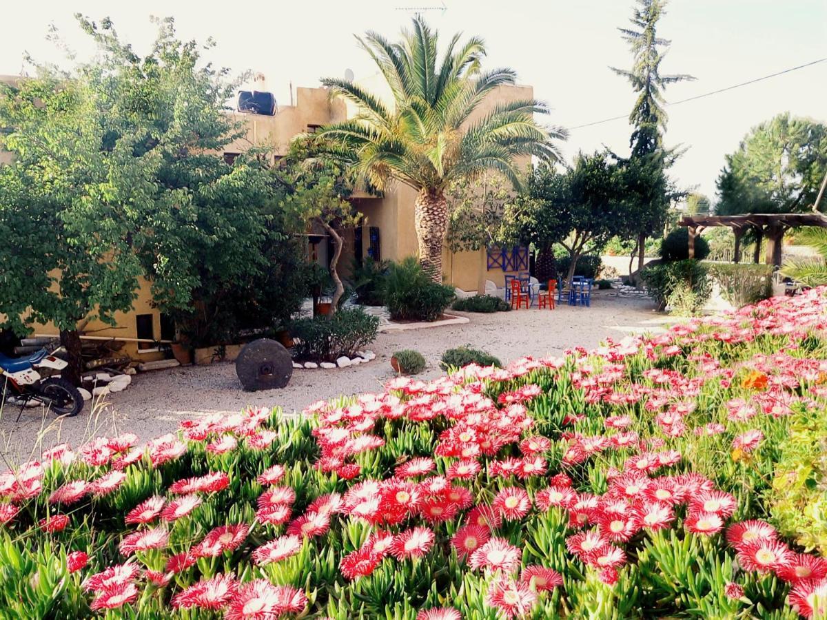 Vagia Beach Apartments, Aegina Island Chambre photo